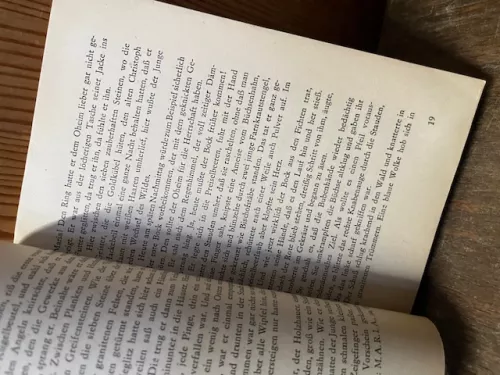 Der Sohn der W&auml;lder, Taschenbuch