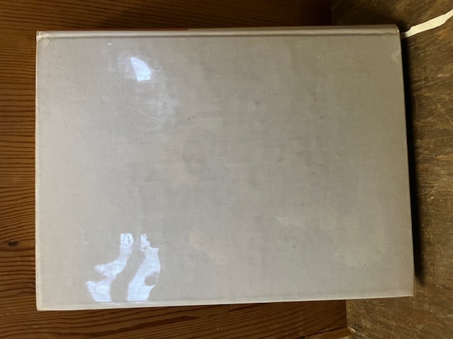 Sieger der Geschichte, Sch&ouml;nemann