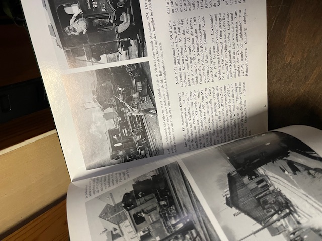 Wilkau Ha&szlig;lau - Carlsfeld, Wolf