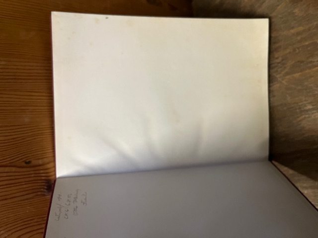 Robert Schumann 1856/1956, Moser