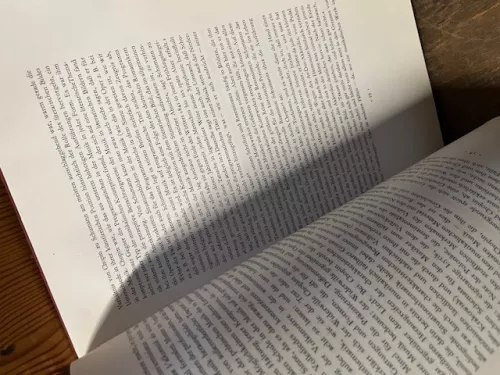 Robert Schumann 1856/1956, Moser