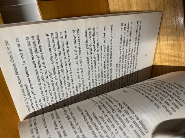 Moara cu Noroc, Slavici