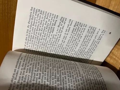 Raubmenschen, Dauthendey