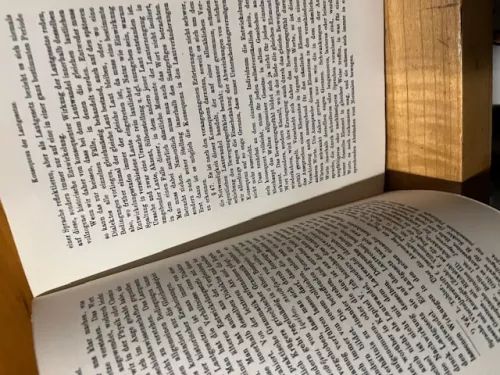 Prinzipien der Sprachgeschichte, Paul