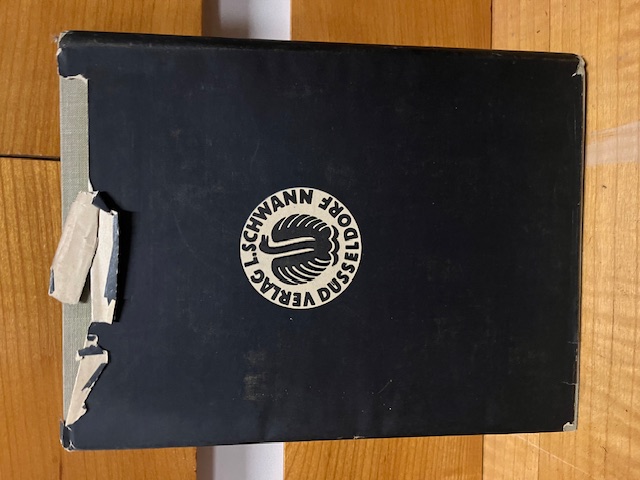 Zwischen Leben und Tod, 1928