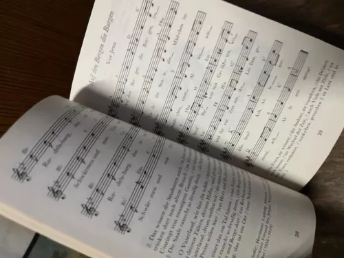 Gaudeamus Igitur, Historische Studentenlieder