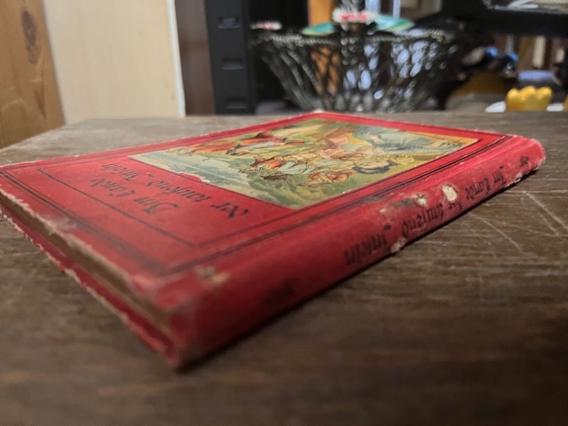 Im Land der tausend Inseln, James Fenimore Cooper