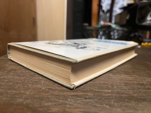 Verratene Grenadiere,Welz