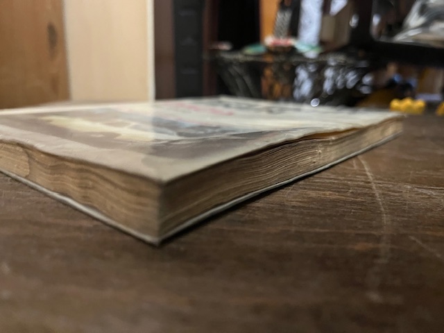 Ich fahre einen Dacia, Typ 1300