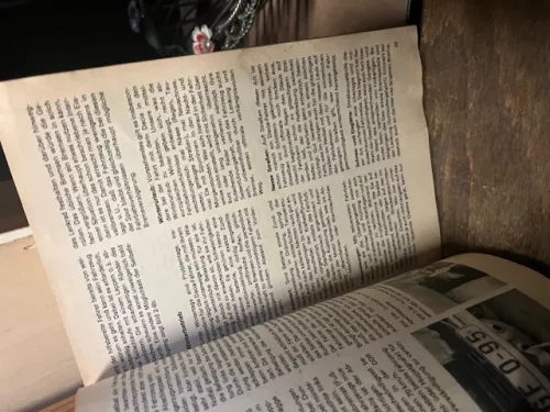 Ich fahre einen Dacia, Typ 1300