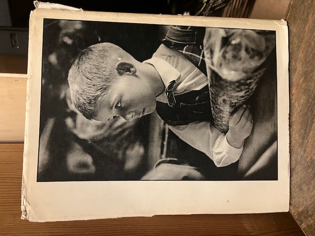 Entwicklungswunder Mensch, Schmidt