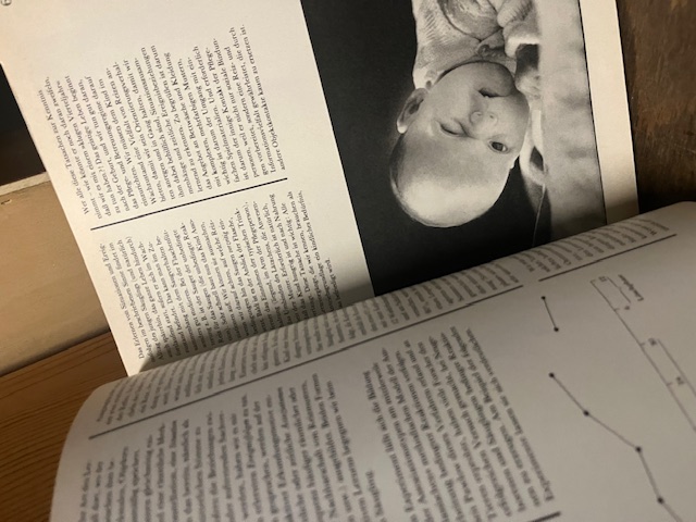 Entwicklungswunder Mensch, Schmidt