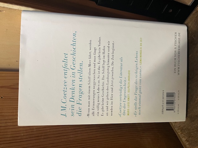 Die Schulzeit Jesu, Coetzee