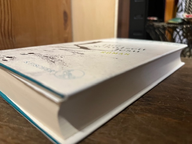 Die Schulzeit Jesu, Coetzee