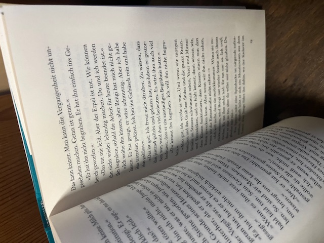 Die Schulzeit Jesu, Coetzee