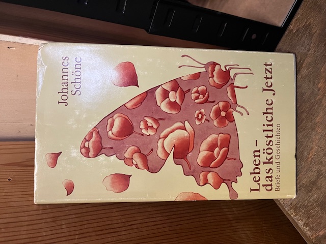 Leben, das k&ouml;stliche Jetzt, Sch&ouml;ne