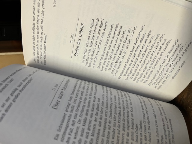 Hoffen wir das Beste, K&uuml;hner