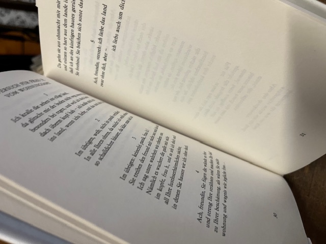 Das Ganze halbe Leben, Reimann