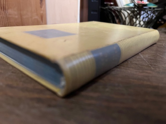 Tauwetter, Ehrenburg