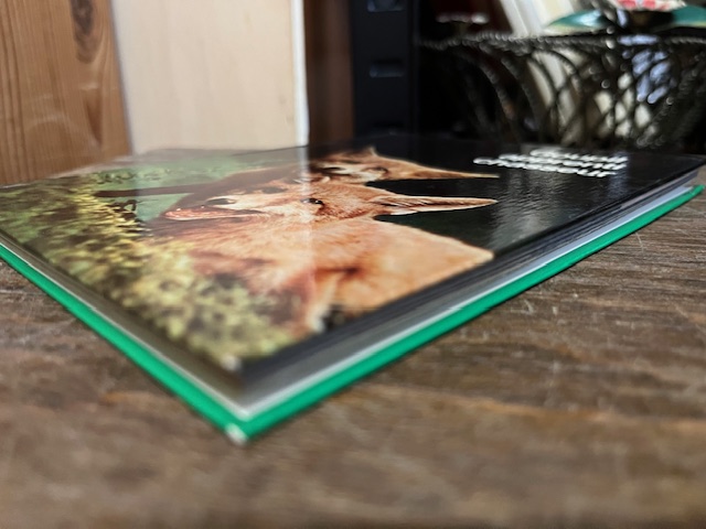 Goupil apprenti chasseur