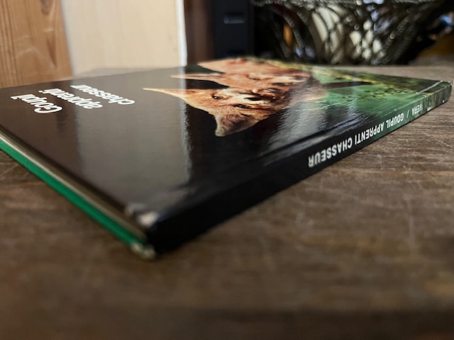 Goupil apprenti chasseur