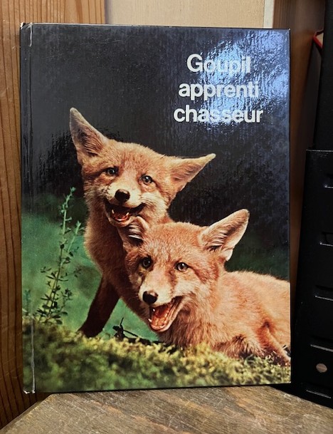 Goupil apprenti chasseur