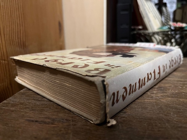 Berge in Flammen, Trenker, 1940