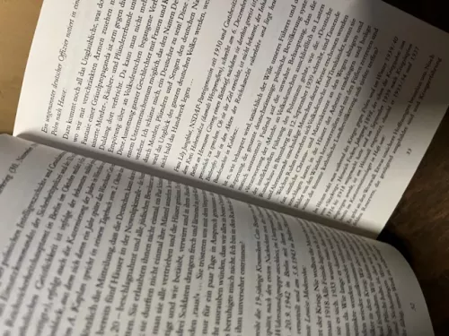 Kain, Wo ist dein Bruder, Dollinger