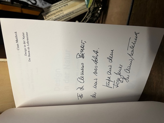 Design in der Natur, Mattheck