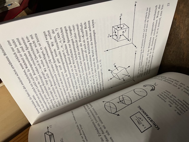 Design in der Natur, Mattheck