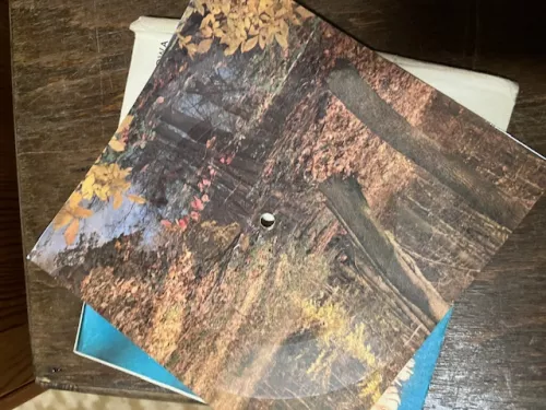 Maxi LP Beach Boys, Gide Park